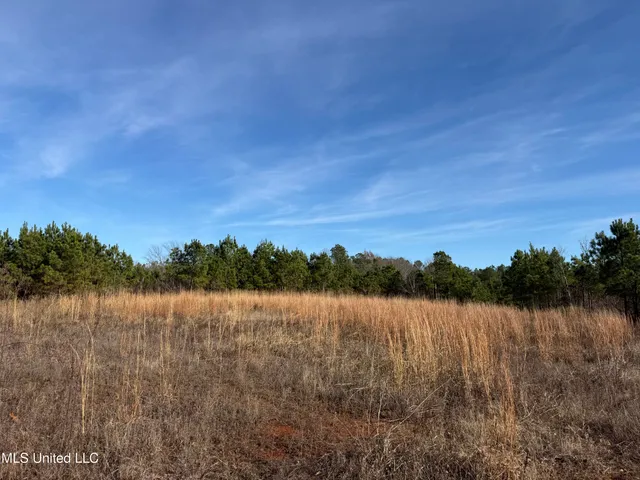 $1,195,000 | 70 Cr Woodland Ms 39776, Woodland, MS 39776