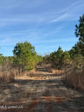 $1,075,000 | 70 Cr Woodland Ms 39776, Woodland, MS 39776