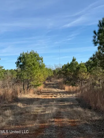 $1,195,000 | 70 Cr Woodland Ms 39776, Woodland, MS 39776