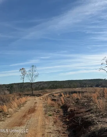 $1,195,000 | 70 Cr Woodland Ms 39776, Woodland, MS 39776