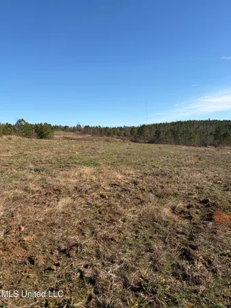 $1,075,000 | 70 Cr Woodland Ms 39776, Woodland, MS 39776