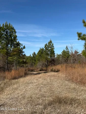 $1,075,000 | 70 Cr Woodland Ms 39776, Woodland, MS 39776