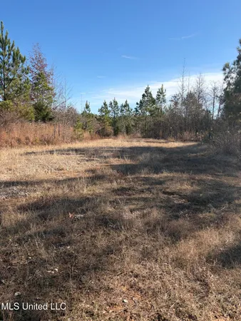 $1,075,000 | 70 Cr Woodland Ms 39776, Woodland, MS 39776