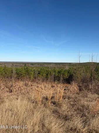 $1,075,000 | 70 Cr Woodland Ms 39776, Woodland, MS 39776