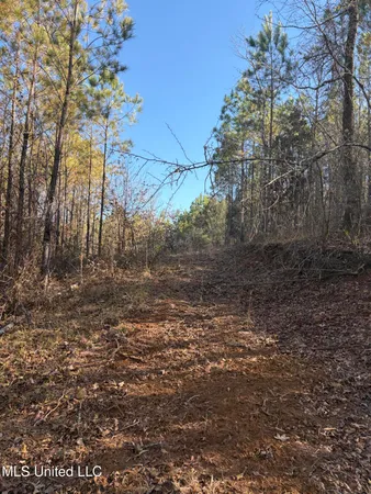 $1,075,000 | 70 Cr Woodland Ms 39776, Woodland, MS 39776
