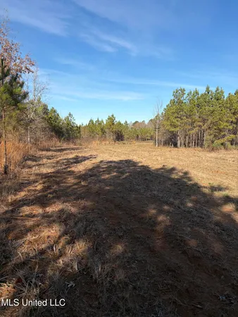 $1,075,000 | 70 Cr Woodland Ms 39776, Woodland, MS 39776