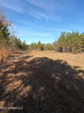 $1,195,000 | 70 Cr Woodland Ms 39776, Woodland, MS 39776