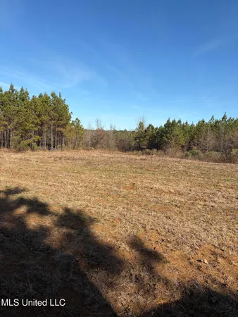 $1,075,000 | 70 Cr Woodland Ms 39776, Woodland, MS 39776