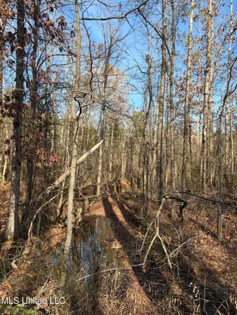 $1,075,000 | 70 Cr Woodland Ms 39776, Woodland, MS 39776