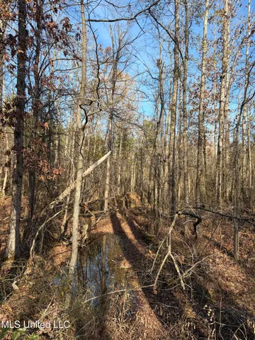 $1,195,000 | 70 Cr Woodland Ms 39776, Woodland, MS 39776