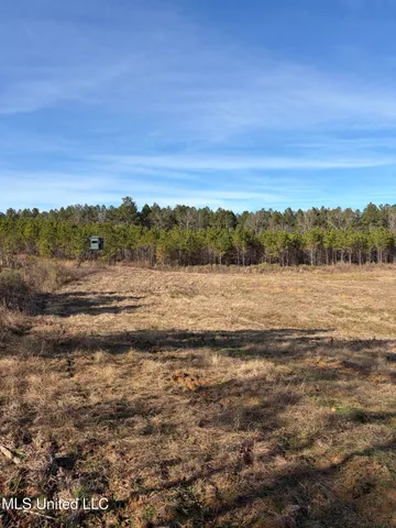 $1,195,000 | 70 Cr Woodland Ms 39776, Woodland, MS 39776