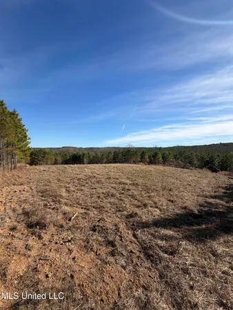 $1,075,000 | 70 Cr Woodland Ms 39776, Woodland, MS 39776