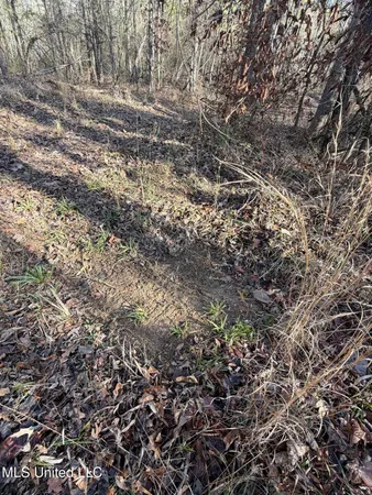 $1,075,000 | 70 Cr Woodland Ms 39776, Woodland, MS 39776
