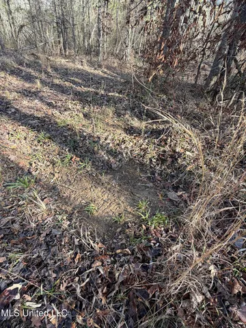 $1,195,000 | 70 Cr Woodland Ms 39776, Woodland, MS 39776