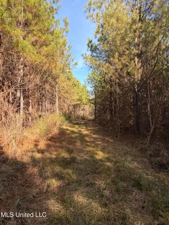 $1,075,000 | 70 Cr Woodland Ms 39776, Woodland, MS 39776