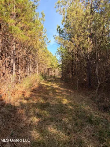 $1,195,000 | 70 Cr Woodland Ms 39776, Woodland, MS 39776