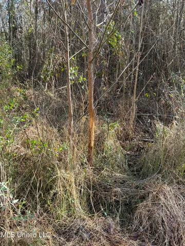 $1,195,000 | 70 Cr Woodland Ms 39776, Woodland, MS 39776