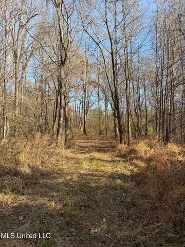 $1,195,000 | 70 Cr Woodland Ms 39776, Woodland, MS 39776
