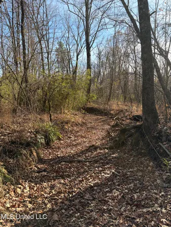 $1,075,000 | 70 Cr Woodland Ms 39776, Woodland, MS 39776