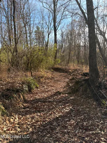 $1,195,000 | 70 Cr Woodland Ms 39776, Woodland, MS 39776