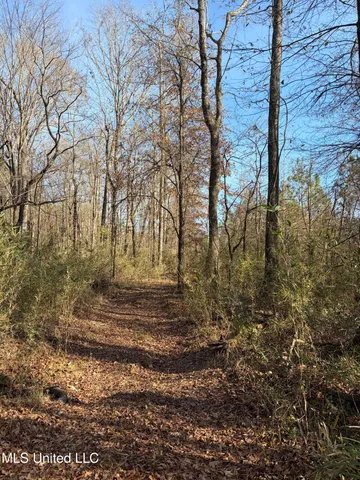 $1,195,000 | 70 Cr Woodland Ms 39776, Woodland, MS 39776