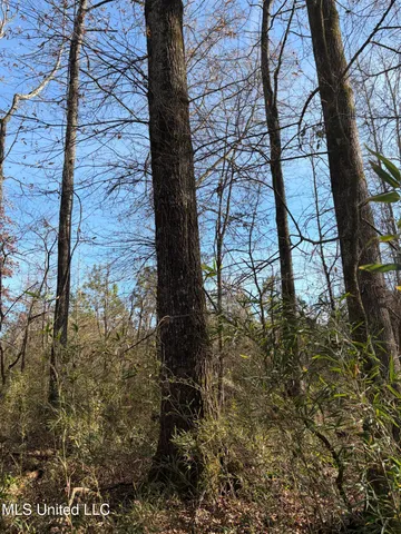 $1,195,000 | 70 Cr Woodland Ms 39776, Woodland, MS 39776