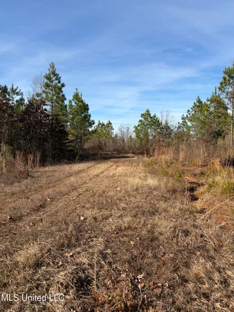 $1,075,000 | 70 Cr Woodland Ms 39776, Woodland, MS 39776