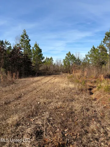 $1,195,000 | 70 Cr Woodland Ms 39776, Woodland, MS 39776