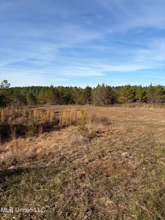 $1,075,000 | 70 Cr Woodland Ms 39776, Woodland, MS 39776