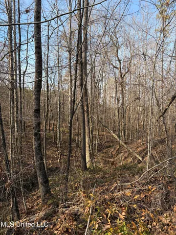 $1,195,000 | 70 Cr Woodland Ms 39776, Woodland, MS 39776