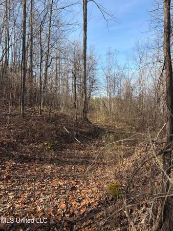 $1,075,000 | 70 Cr Woodland Ms 39776, Woodland, MS 39776