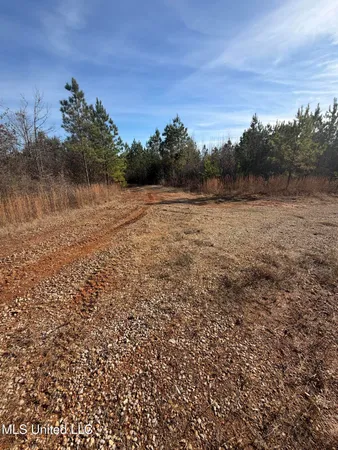 $1,075,000 | 70 Cr Woodland Ms 39776, Woodland, MS 39776