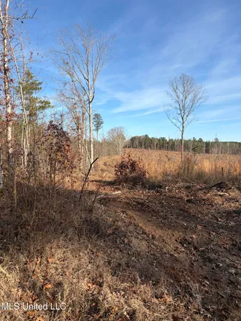 $1,075,000 | 70 Cr Woodland Ms 39776, Woodland, MS 39776
