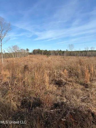 $1,075,000 | 70 Cr Woodland Ms 39776, Woodland, MS 39776