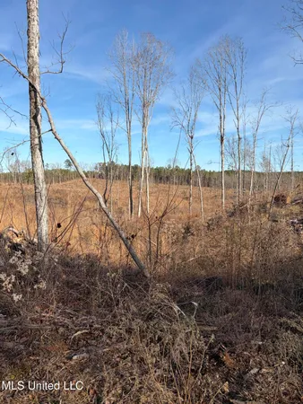 $1,075,000 | 70 Cr Woodland Ms 39776, Woodland, MS 39776