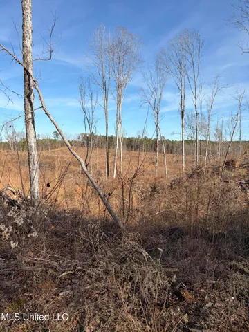 $1,195,000 | 70 Cr Woodland Ms 39776, Woodland, MS 39776