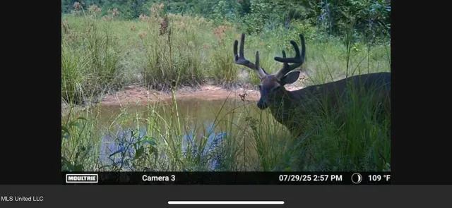 $1,195,000 | 70 Cr Woodland Ms 39776, Woodland, MS 39776