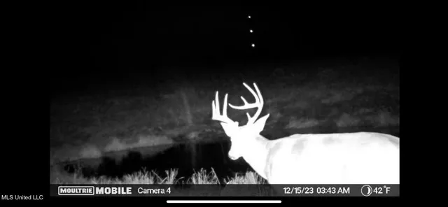 $1,195,000 | 70 Cr Woodland Ms 39776, Woodland, MS 39776