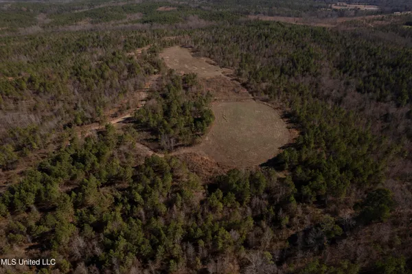 $1,075,000 | 70 Cr Woodland Ms 39776, Woodland, MS 39776