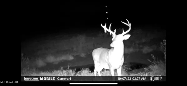 $1,075,000 | 70 Cr Woodland Ms 39776, Woodland, MS 39776