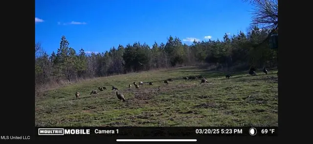 $1,195,000 | 70 Cr Woodland Ms 39776, Woodland, MS 39776