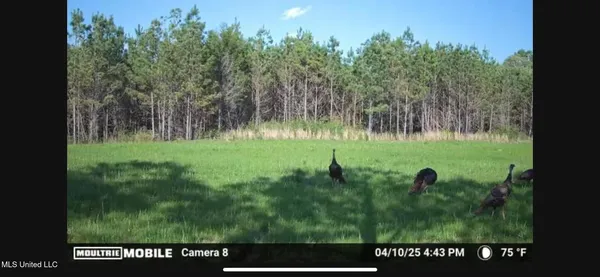 $1,075,000 | 70 Cr Woodland Ms 39776, Woodland, MS 39776