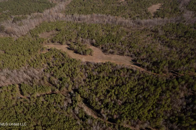 $1,195,000 | 70 Cr Woodland Ms 39776, Woodland, MS 39776