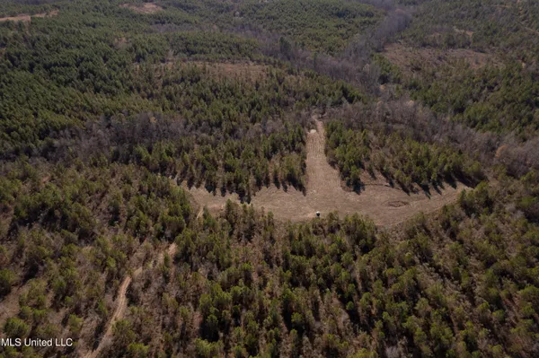 $1,075,000 | 70 Cr Woodland Ms 39776, Woodland, MS 39776