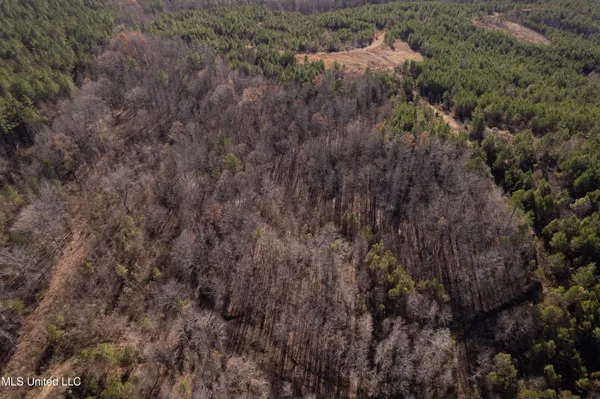 $1,075,000 | 70 Cr Woodland Ms 39776, Woodland, MS 39776