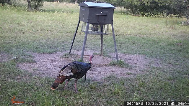 $395,300 | 3100 Cattle Guard Road, Cuero, TX 77954