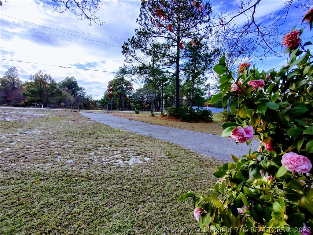 20 Kramer Road Lillington, NC 27546 - Photo 4 of 33 Gallery Image 4