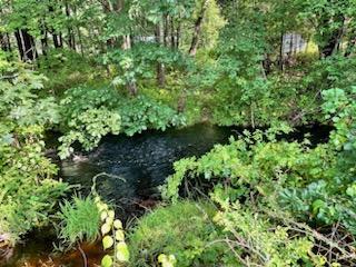 1916 Post Road Wells, ME 04090 - Photo 8 of 10 More brook shots 1916 Post