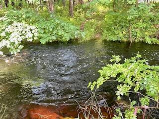 1916 Post Road Wells, ME 04090 - Photo 9 of 10 Brook 1916 Post
