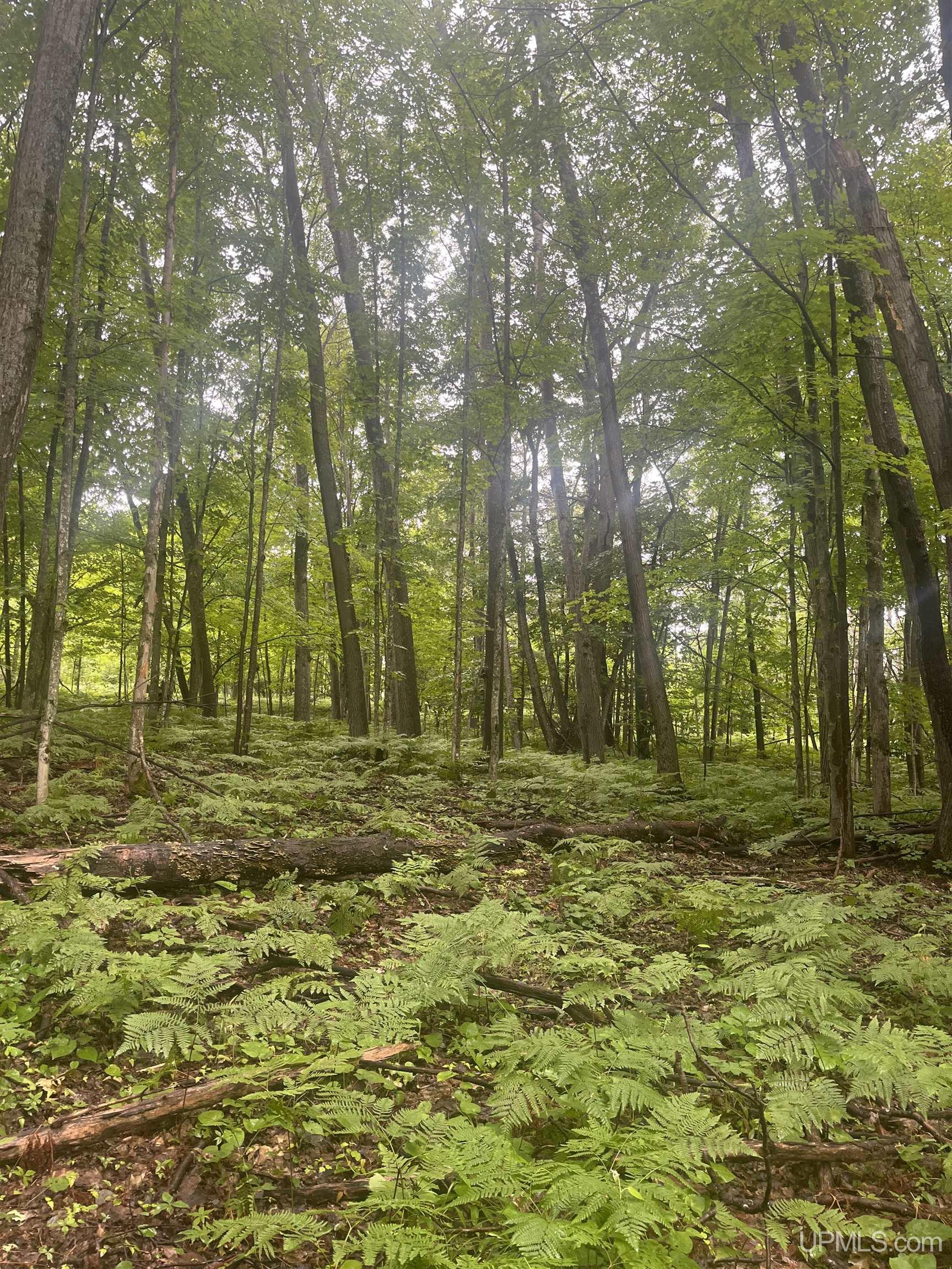 15921 Beartown Road Baraga, MI 49908 - Photo 10 of 11 Gallery Image 10